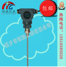  射頻導(dǎo)納液位計的工作原理如何？
